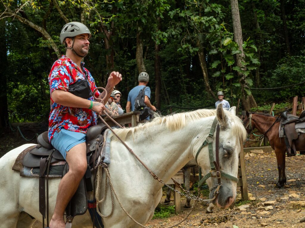 Dolphin Encounter | Museum | Horseback Riding
