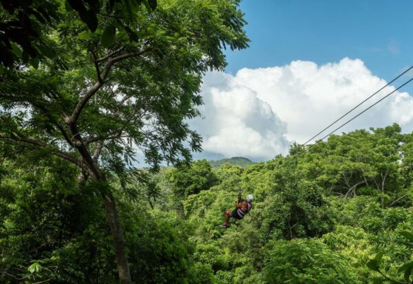 Canopy Zip Lining Adventure-$180.00 - Roatan Bay Island Tours