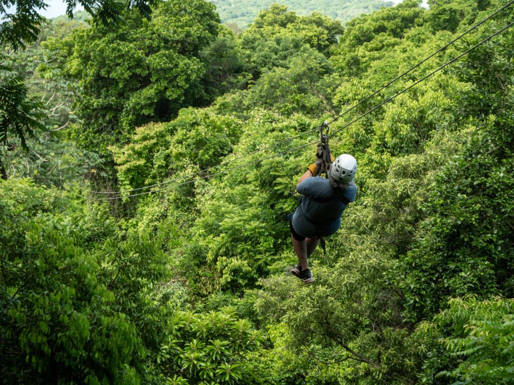 Explore A Quick Zipline Tour experience
