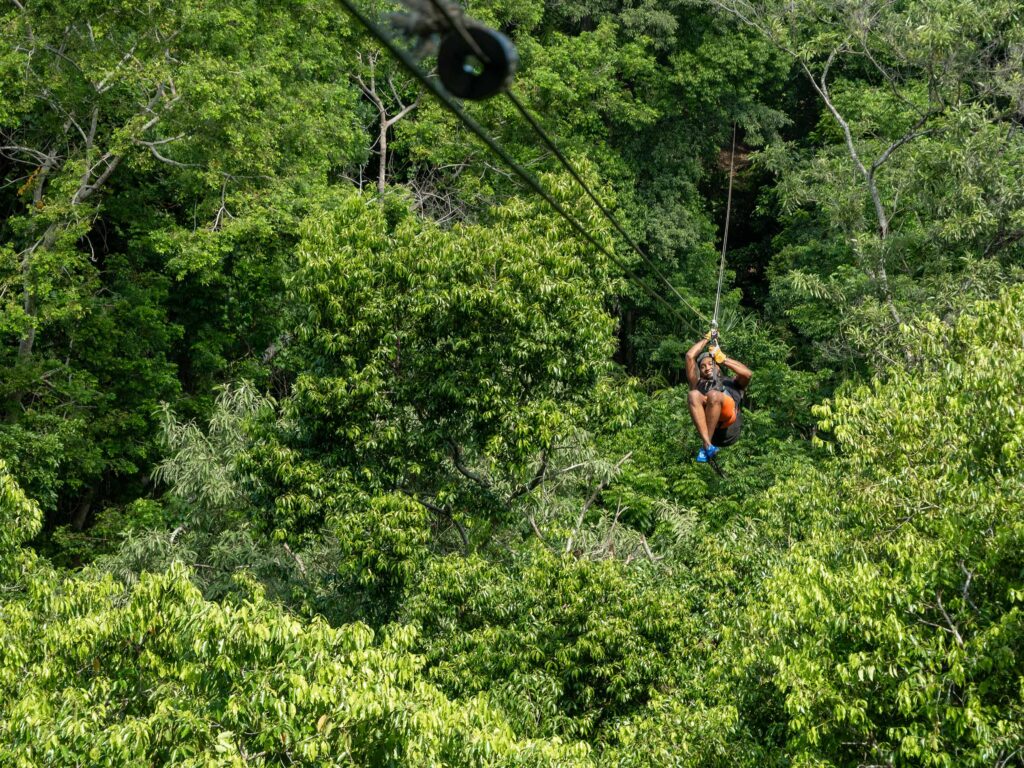 Canopy Zip Lining Adventure