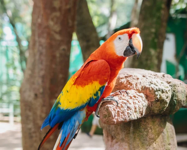 Island Tour | Botanical Garden | Sloths & Exotic Animals-$180.00