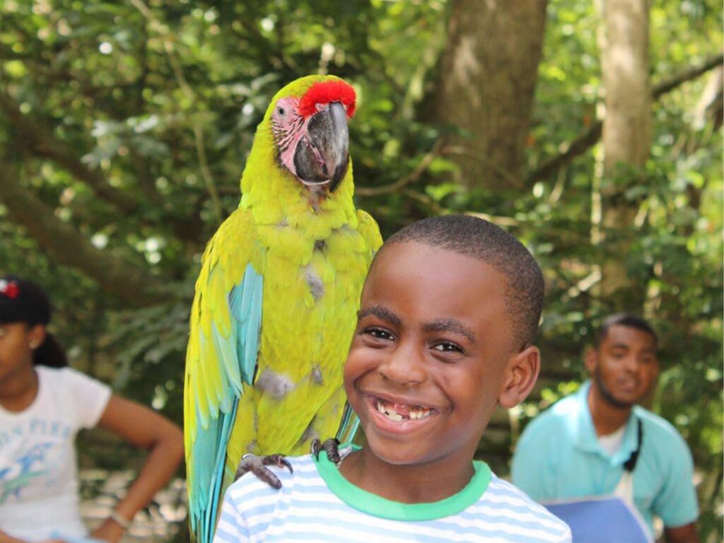 Zipline | Animal Park | Beach