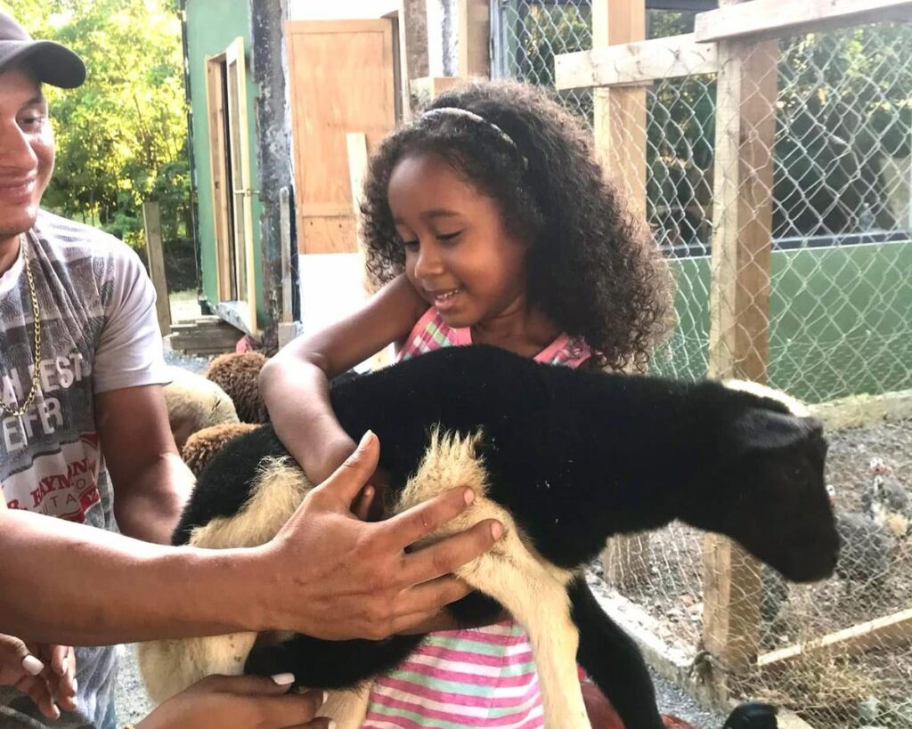 Island Tour | Botanical Garden | Sloths & Exotic Animals