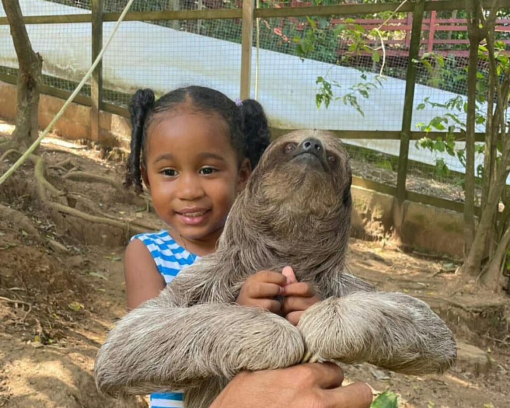 Island Tour | Botanical Garden | Sloths & Exotic Animals
