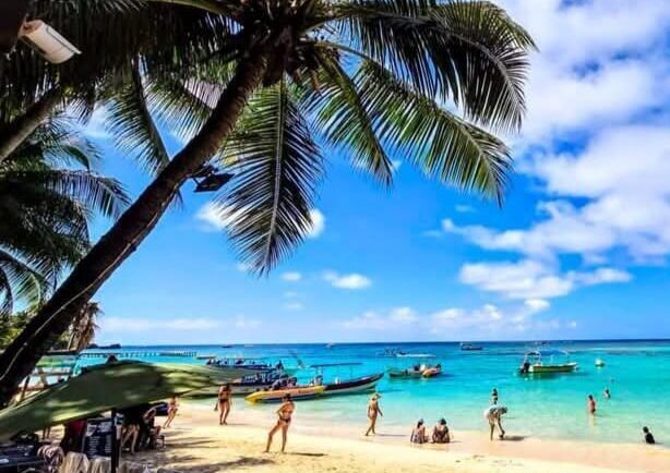 Island Tour | Restaurant | Beach | Animal Park