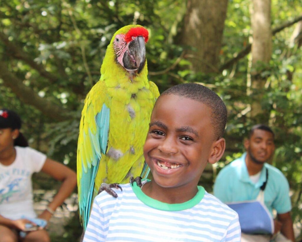 Island Tour | Botanical Garden | Sloths & Exotic Animals