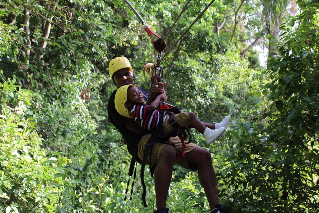 Zipline | Animal Park | Beach